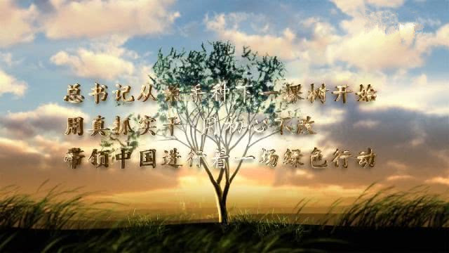 觀看微視 頻《眾人植樹(shù)樹(shù)成林》——觀后感