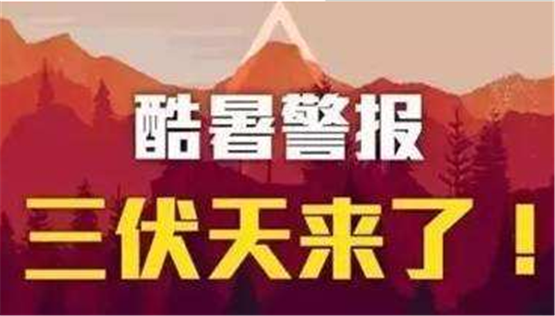 三伏已入，愿您安然度夏——貝朗高 效數(shù)控折彎機(jī)械