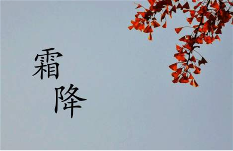 霜降——轉(zhuǎn)載網(wǎng)絡(luò)圖片